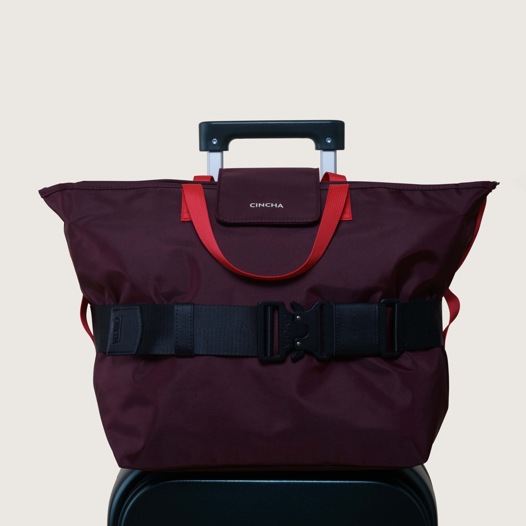 トートバッグ FOLNUA TORTE BAG [RED SUEDE] TR21160B-The-Row-Small-NS-Park